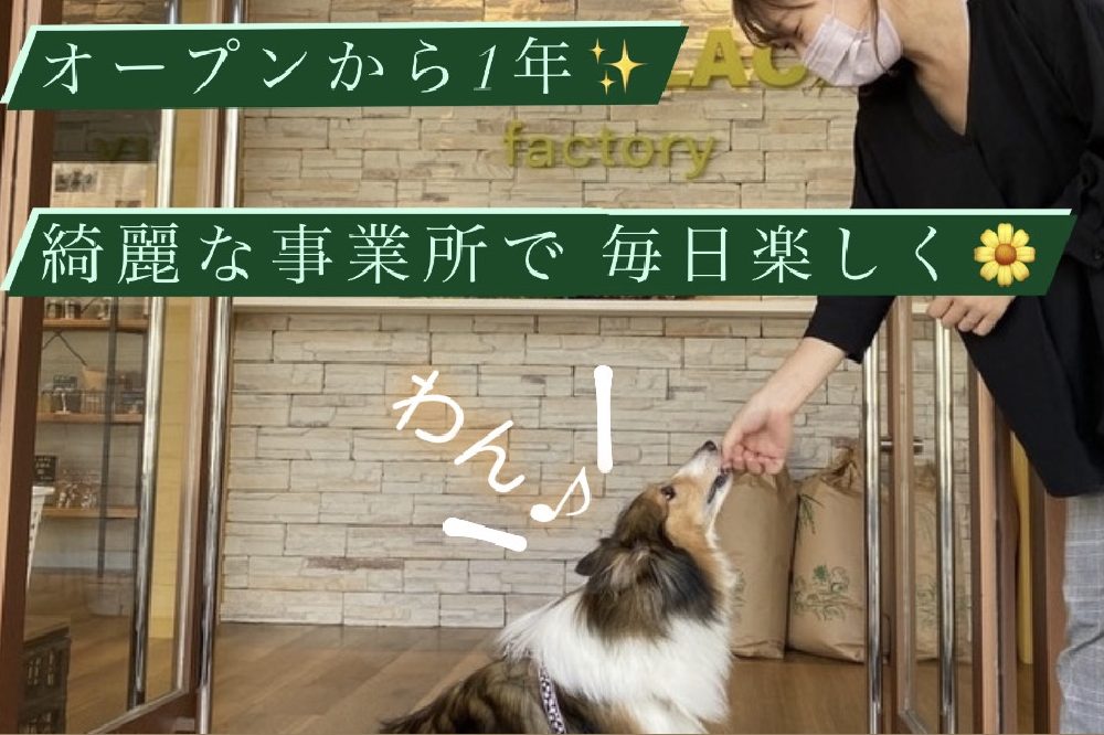 店舗