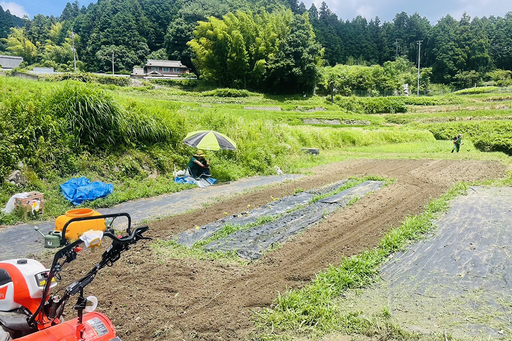 水やり・肥料まき