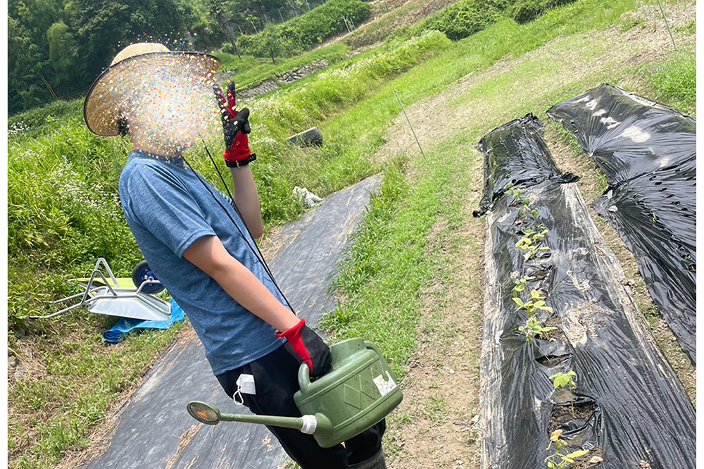 田植の準備・代かき