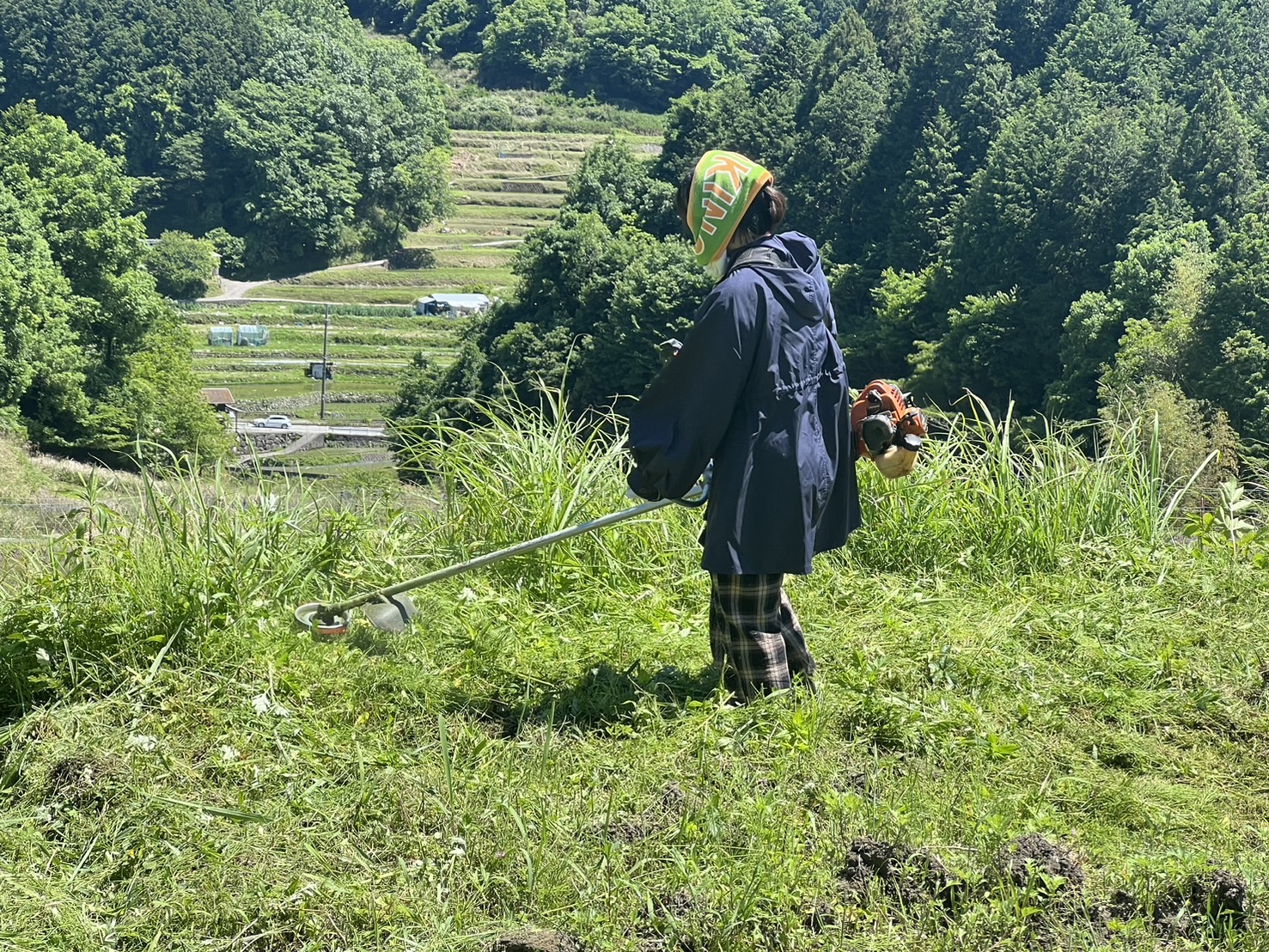 その他 niconico ニワンゴ、5月1日から新生「ニコニコ動画：Zero」を先行提供、総称は