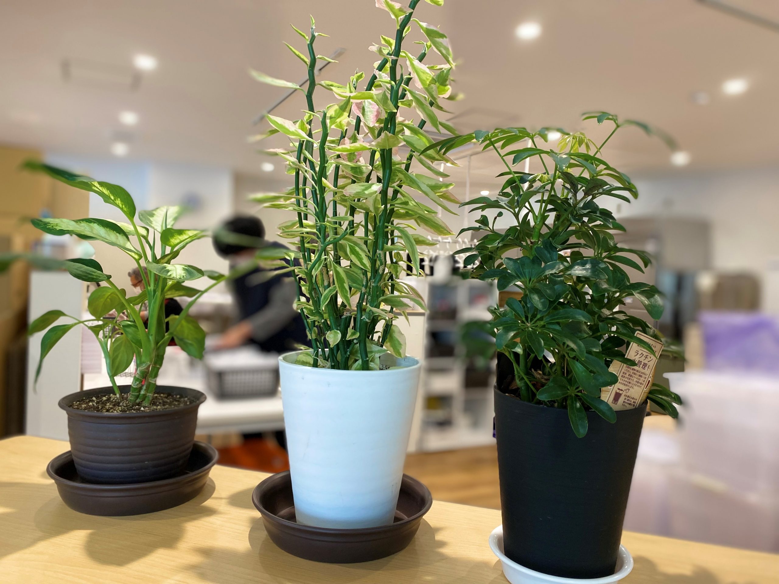 毎日の日常風景の中に - 株式会社NICO JAPAN